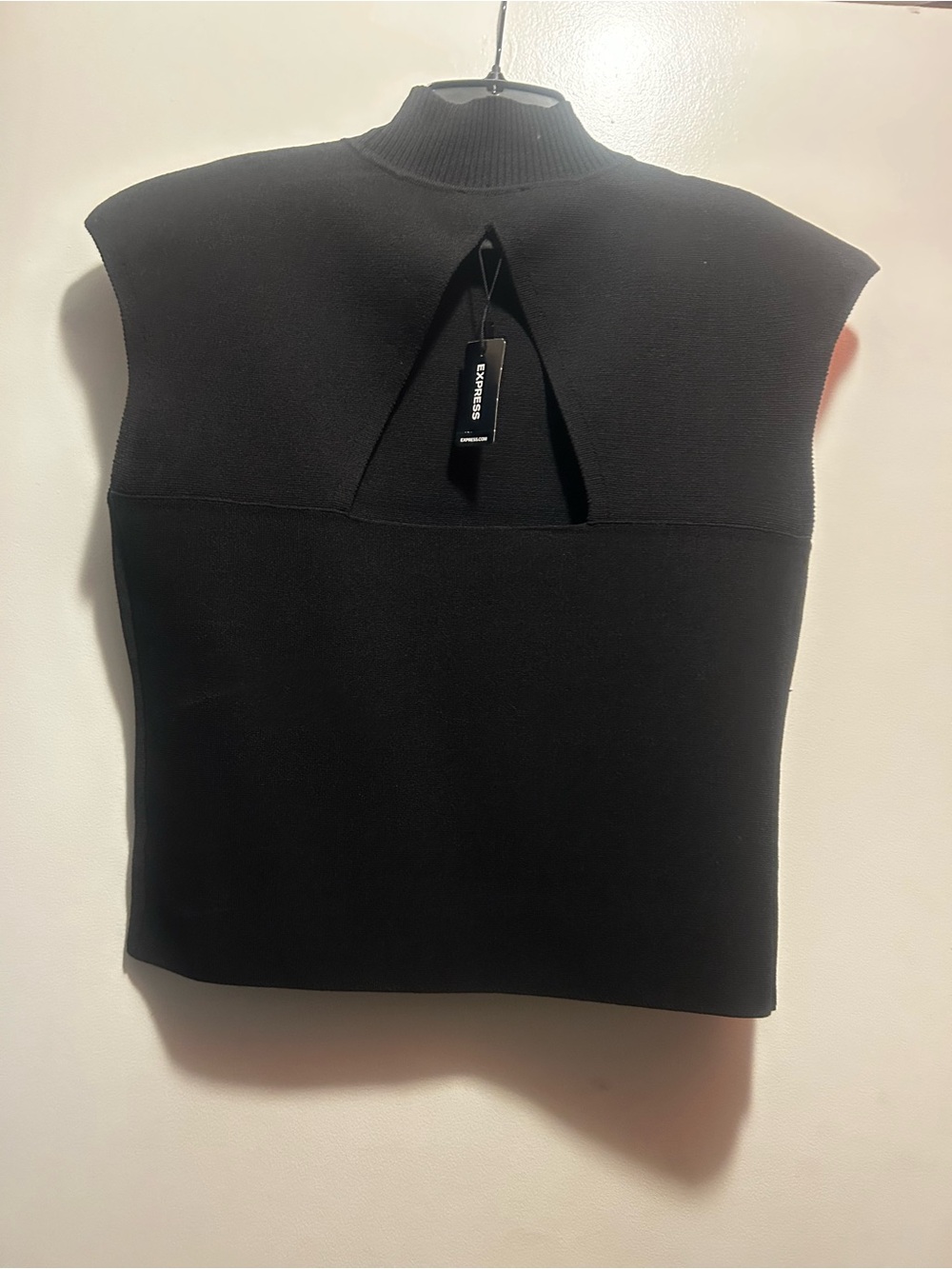 Express Black Sleeveless Mock Neck Knit Top with Back Cutout